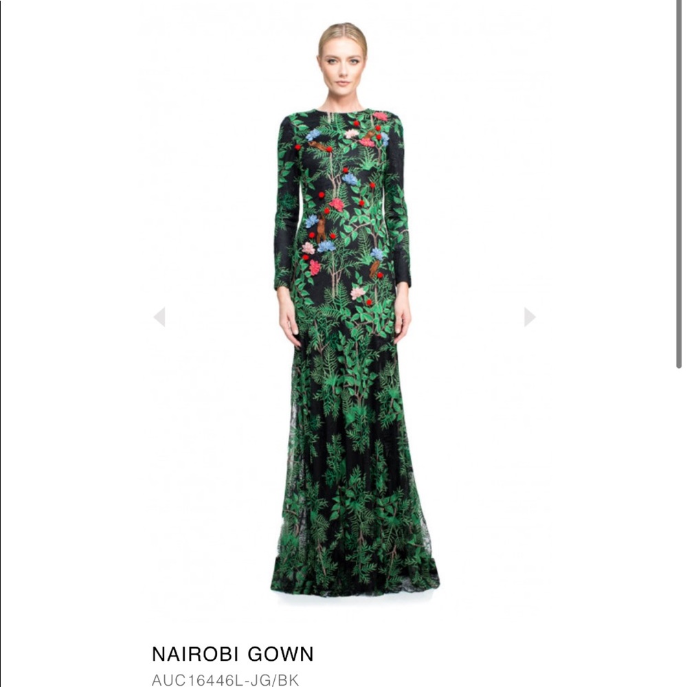 NEW Tadashi Shoji Nairobi gown, size 2